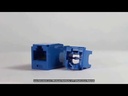 [Panduit][CJ6X88TGBU] Jack RJ-45 CAT-6A T568A/B color azul